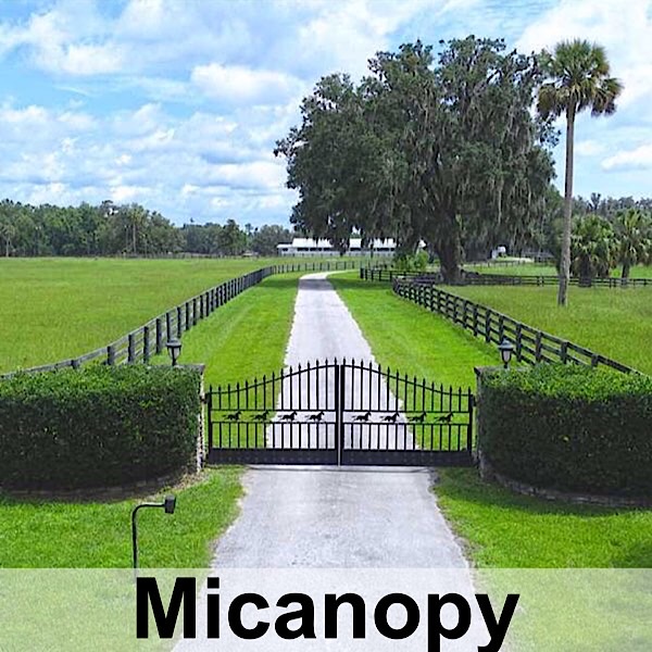 Micanopy, FL Real Estate and Homes For Sale