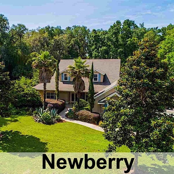 Newberry Real Estate and Homes for sale